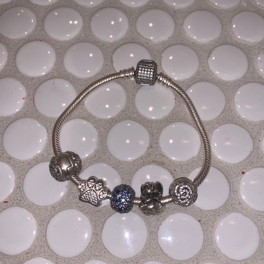 Pandora Charm Bracelet